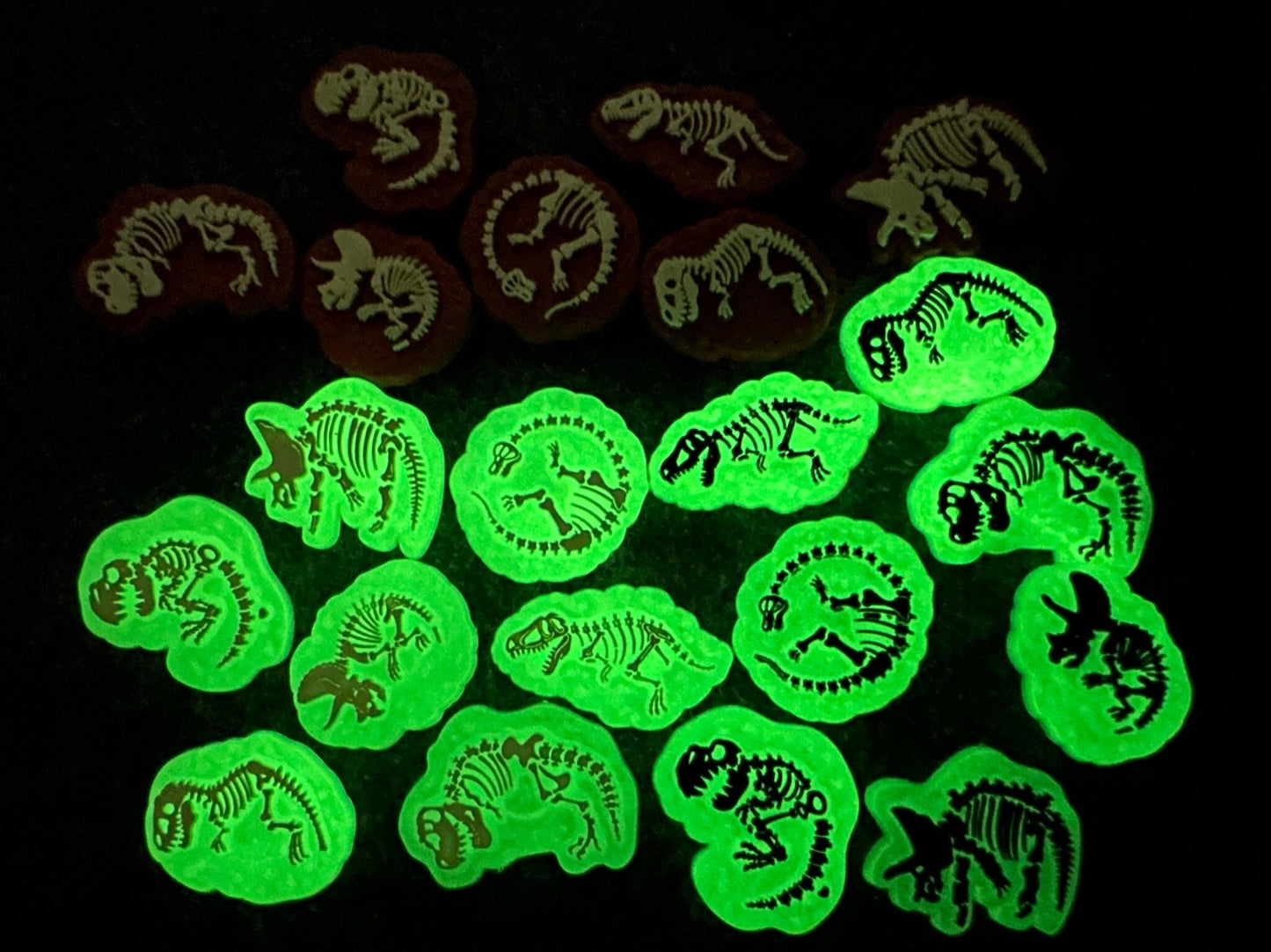 Dinosaur Skeleton Glow In the Dark Dinosaur Design Shoe Charms Best Quality JuliesDecalDesign