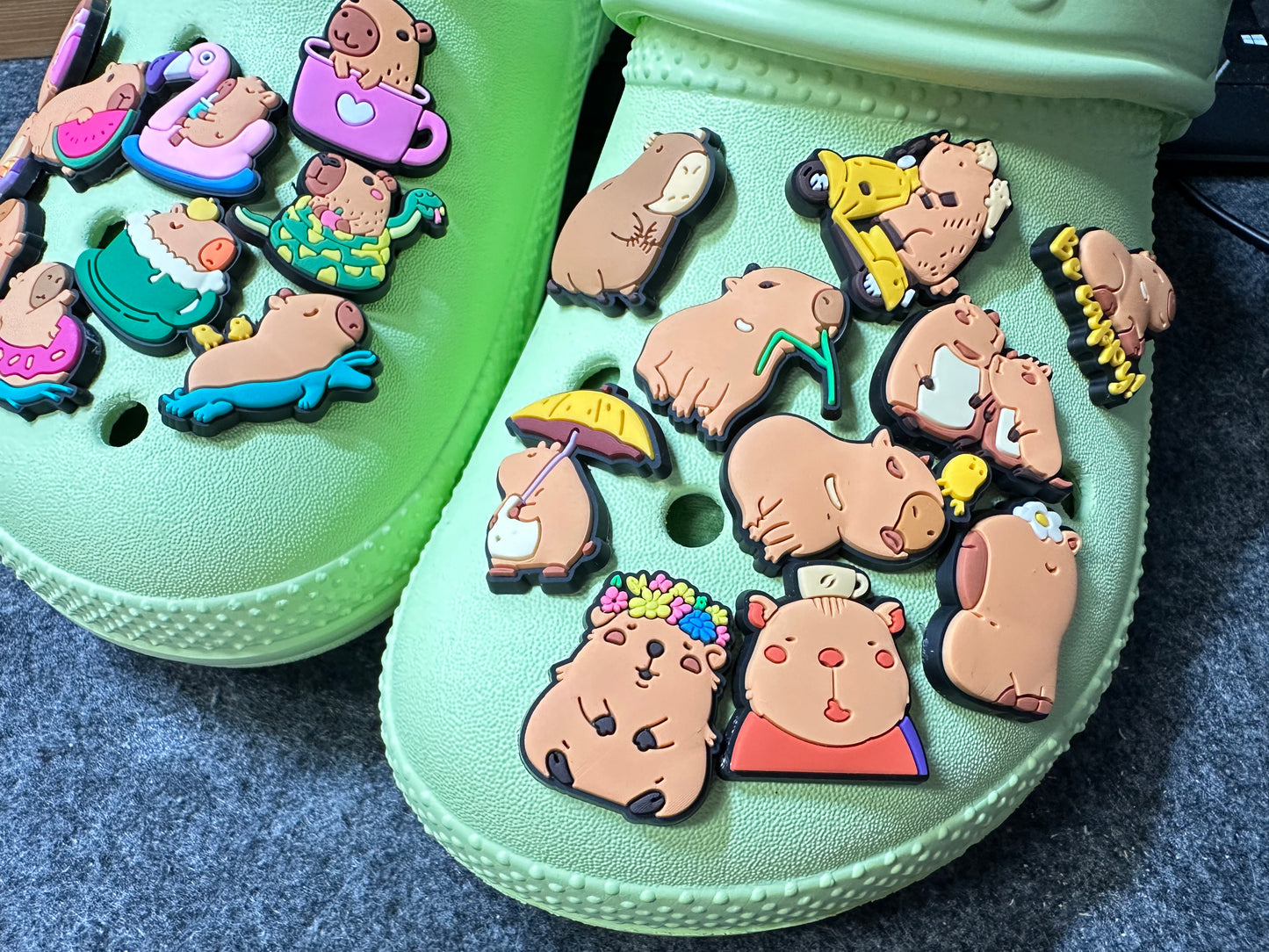 Capybara shoe charms Wild Animal Shoe Accessories Capybara Lovers Be Cappy