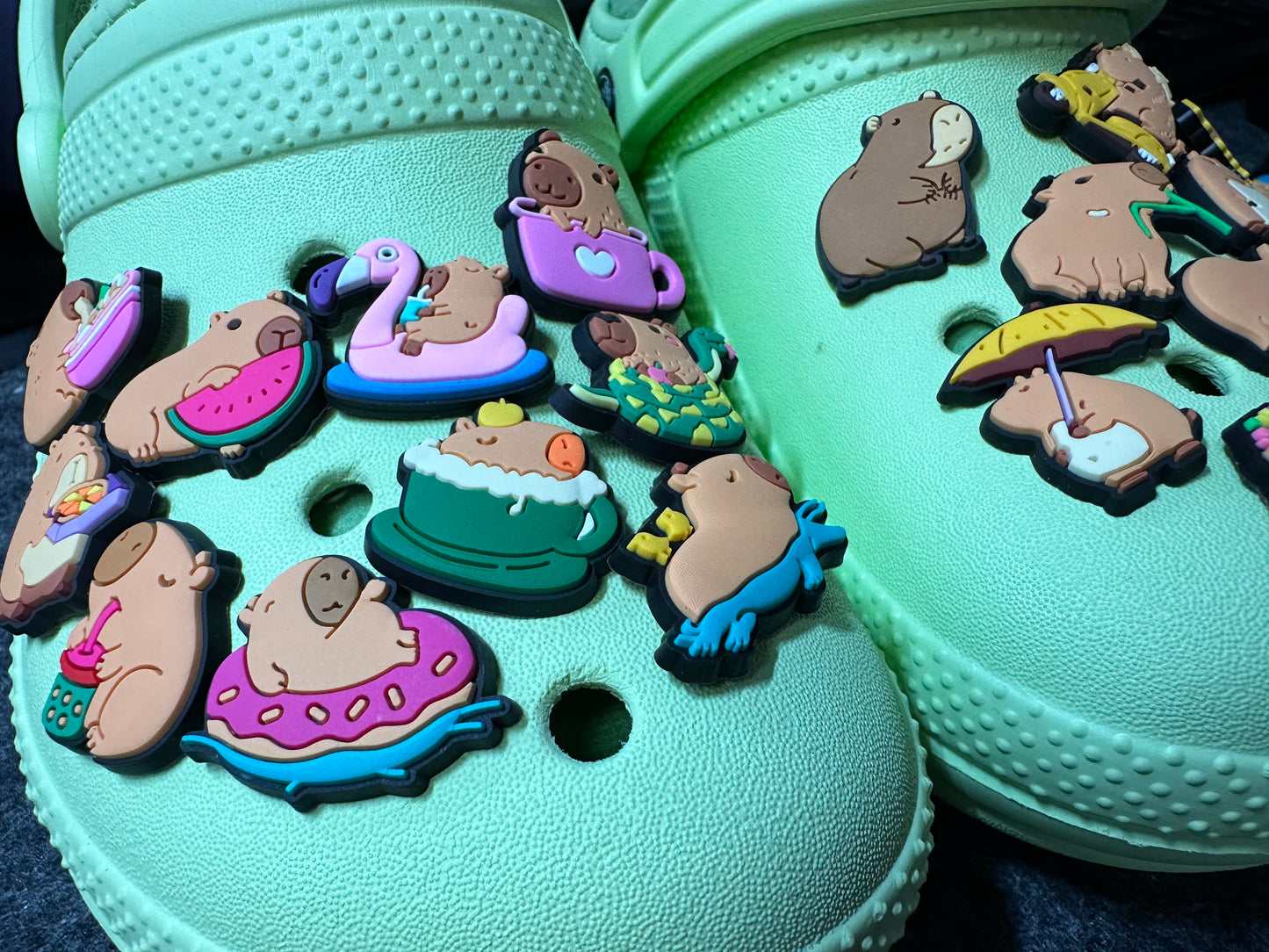 Capybara shoe charms Wild Animal Shoe Accessories Capybara Lovers Be Cappy