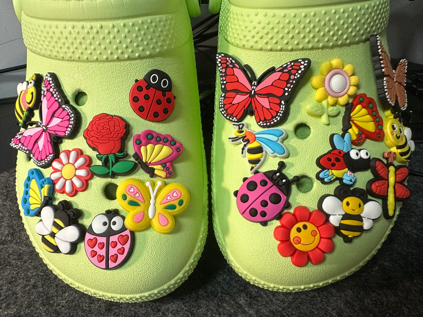 Garden Insects Bumble Bees Dragonfly Butterfly Ladybug Design Theme Shoe Charms