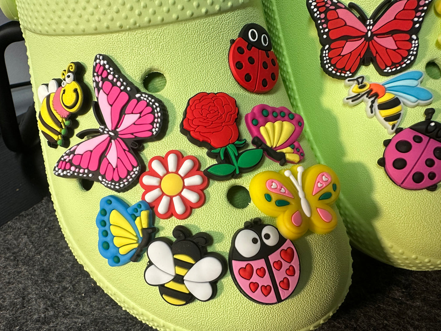 Garden Insects Bumble Bees Dragonfly Butterfly Ladybug Design Theme Shoe Charms