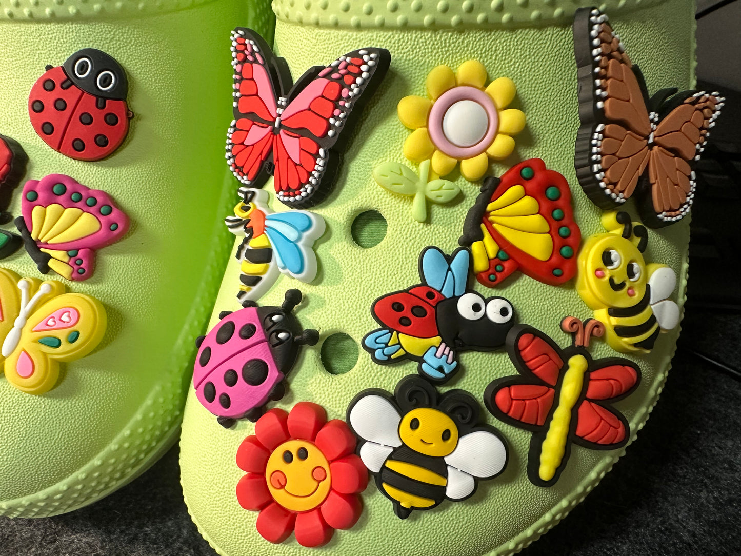 Garden Insects Bumble Bees Dragonfly Butterfly Ladybug Design Theme Shoe Charms