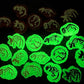 Dinosaur Skeletons Dinosaur Design Shoe Charms Glow In the Dark