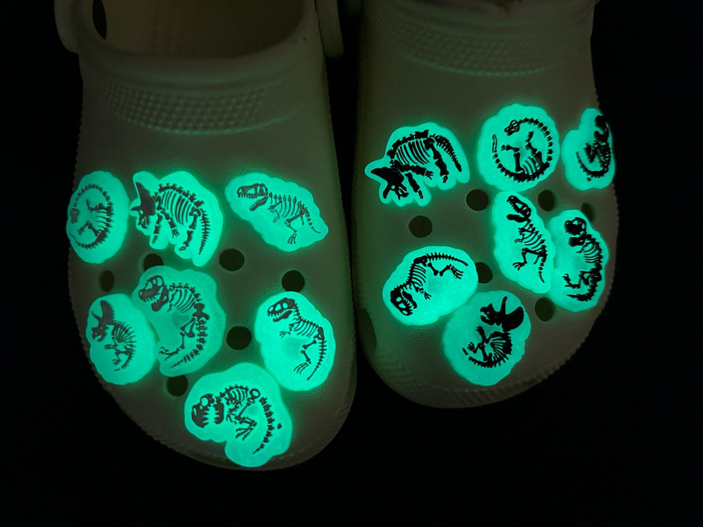 Dinosaur Skeletons Dinosaur Design Shoe Charms Glow In the Dark
