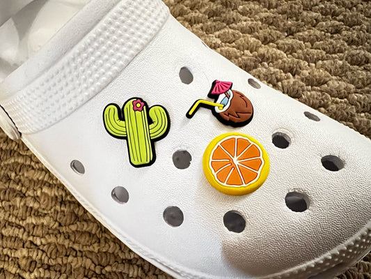Coco naranja cactus Diseño Zapato Charms Mejor Calidad JuliesDecalDesign