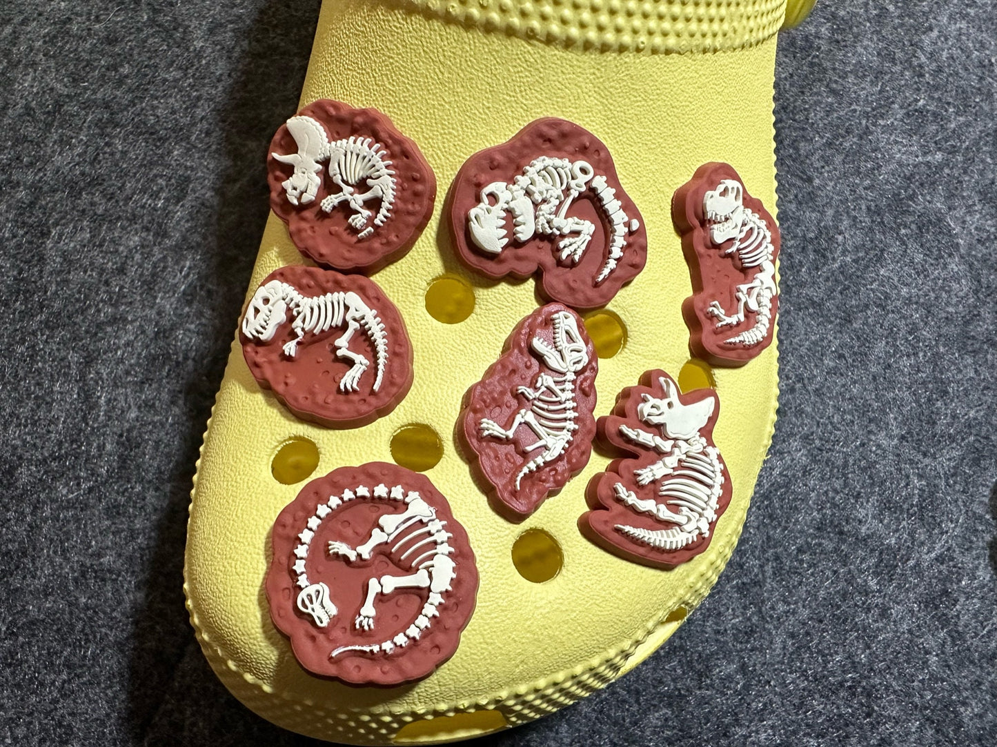 Dinosaur Skeletons Dinosaur Design Shoe Charms Glow In the Dark