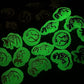 Dinosaur Skeletons Dinosaur Design Shoe Charms Glow In the Dark