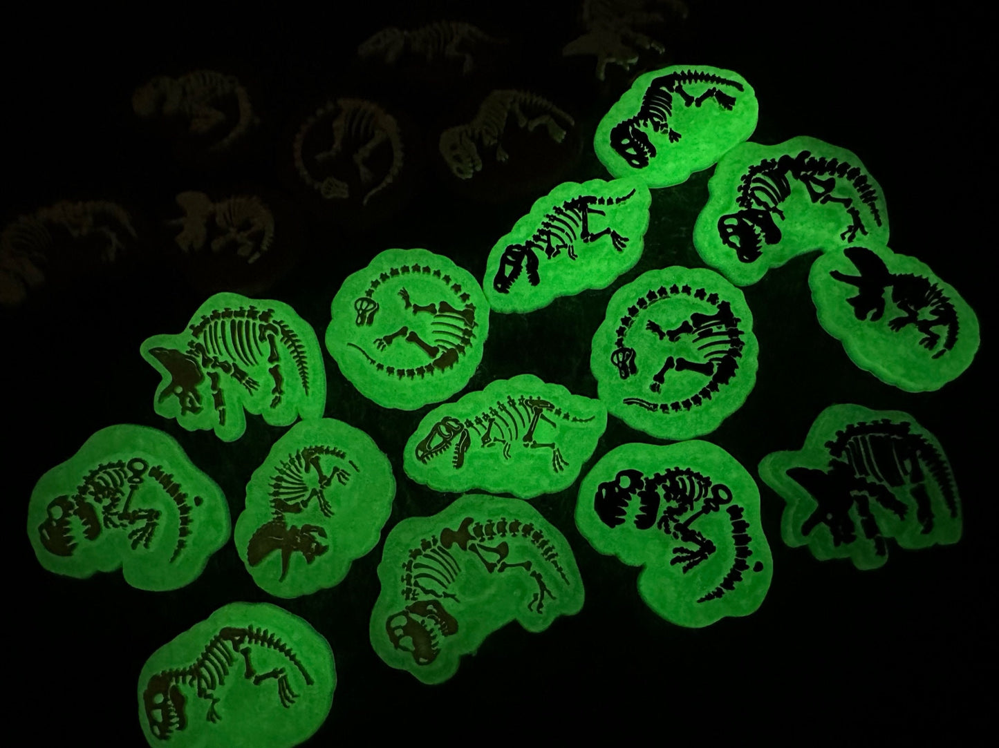 Dinosaur Skeletons Dinosaur Design Shoe Charms Glow In the Dark